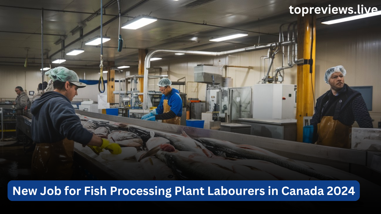 New Job for Fish Processing Plant Labourers in Canada 2024