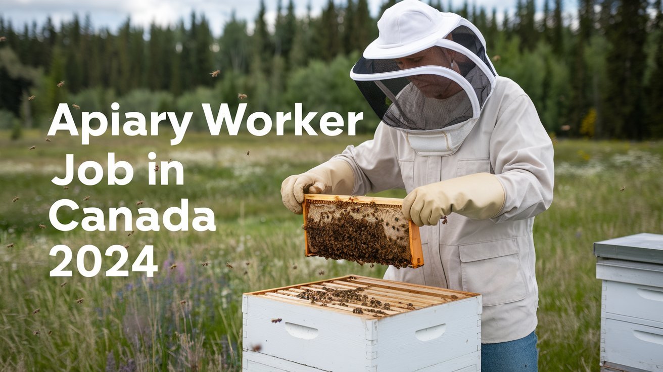 Apiary Worker Job in Canada 2024